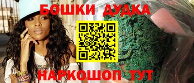 крисы Шебекино
