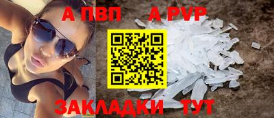 крисы Шебекино