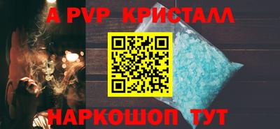 крисы Шебекино