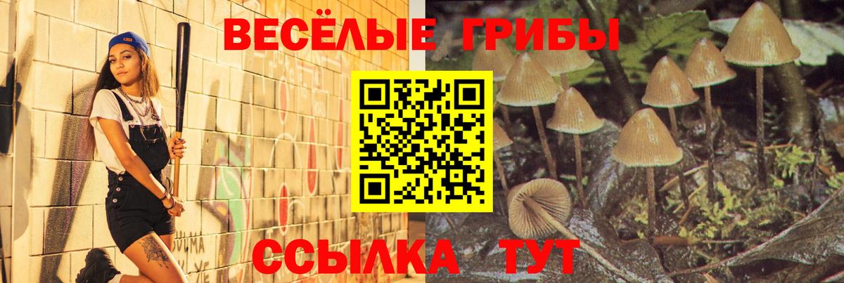 Псилоцибиновые грибы мухоморы  Вход с VPN  Дивногорск 